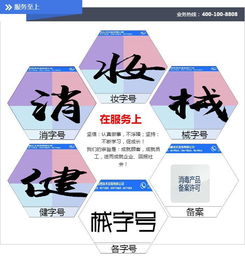 深圳綜普專(zhuān)業(yè)服務(wù) 河源妝字號(hào)辦理與信息技術(shù)咨詢(xún)